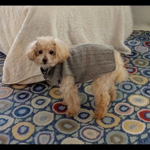 Meet your Posher, Kim